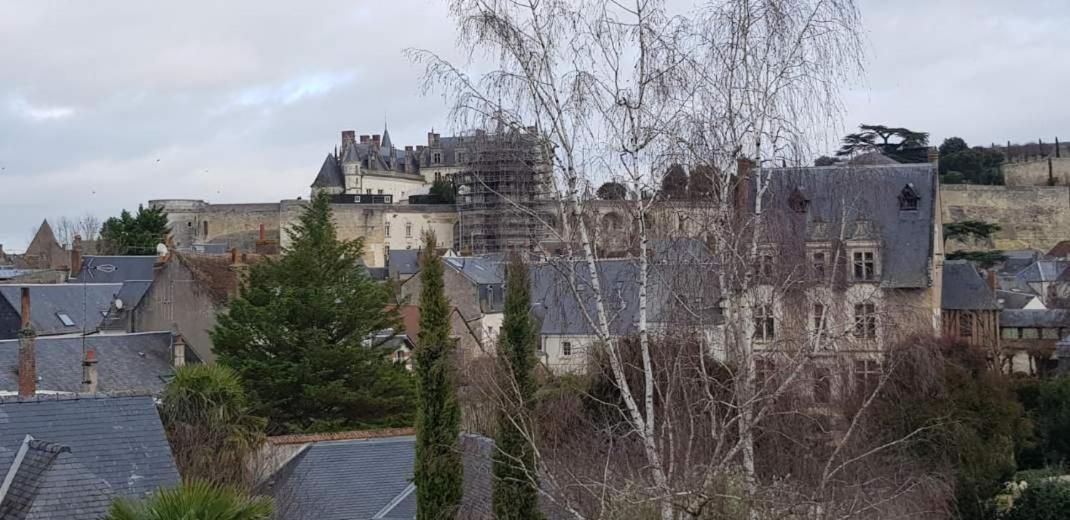 Appartement De Charme Amboise Exterior foto